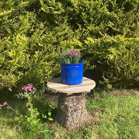 Atlantic Way Shepherd Hut Glamping