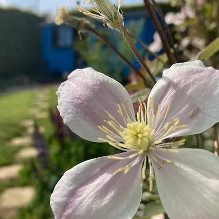 Atlantic Way Shepherd Hut *