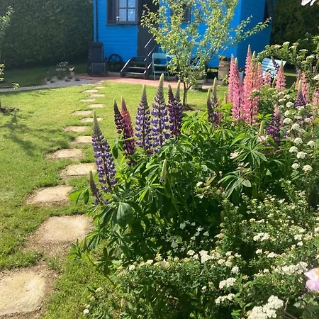 Atlantic Way Shepherd Hut Moville