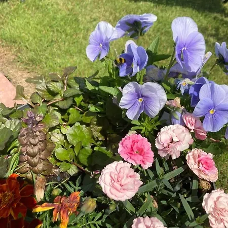 Atlantic Way Shepherd Hut Luxe tent