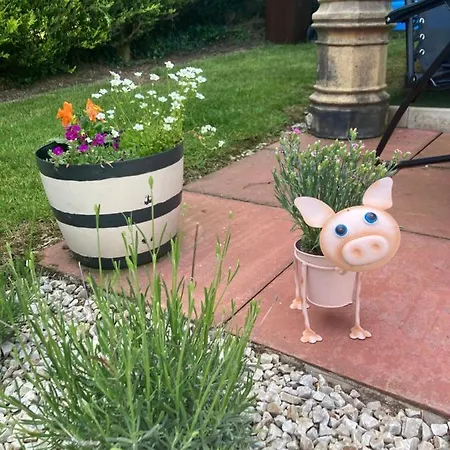 Atlantic Way Shepherd Hut Moville