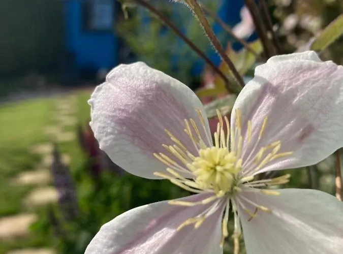 Atlantic Way Shepherd Hut *