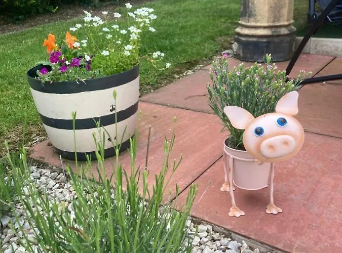 Atlantic Way Shepherd Hut Moville